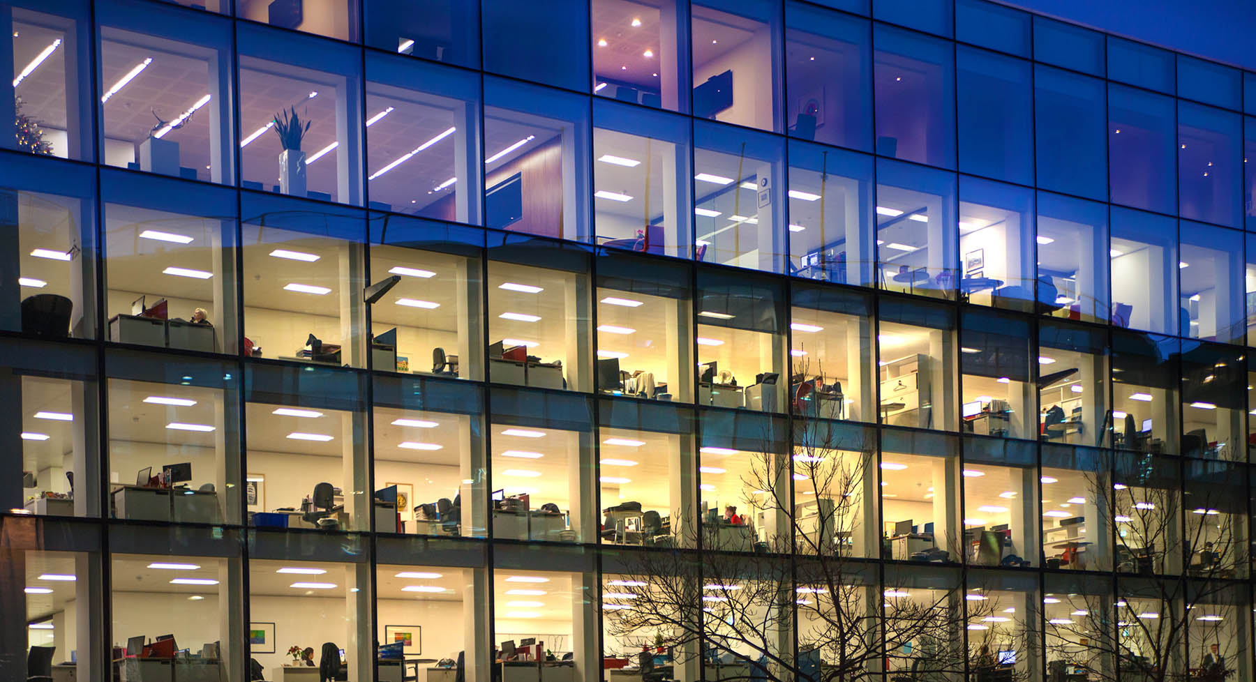 LED Lighting and Workplace Productivity: The Key to a More Efficient Work Environment